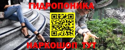 шишки Волжск