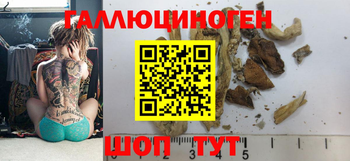 Псилоцибиновые грибы MAGIC MUSHROOMS Ногинск